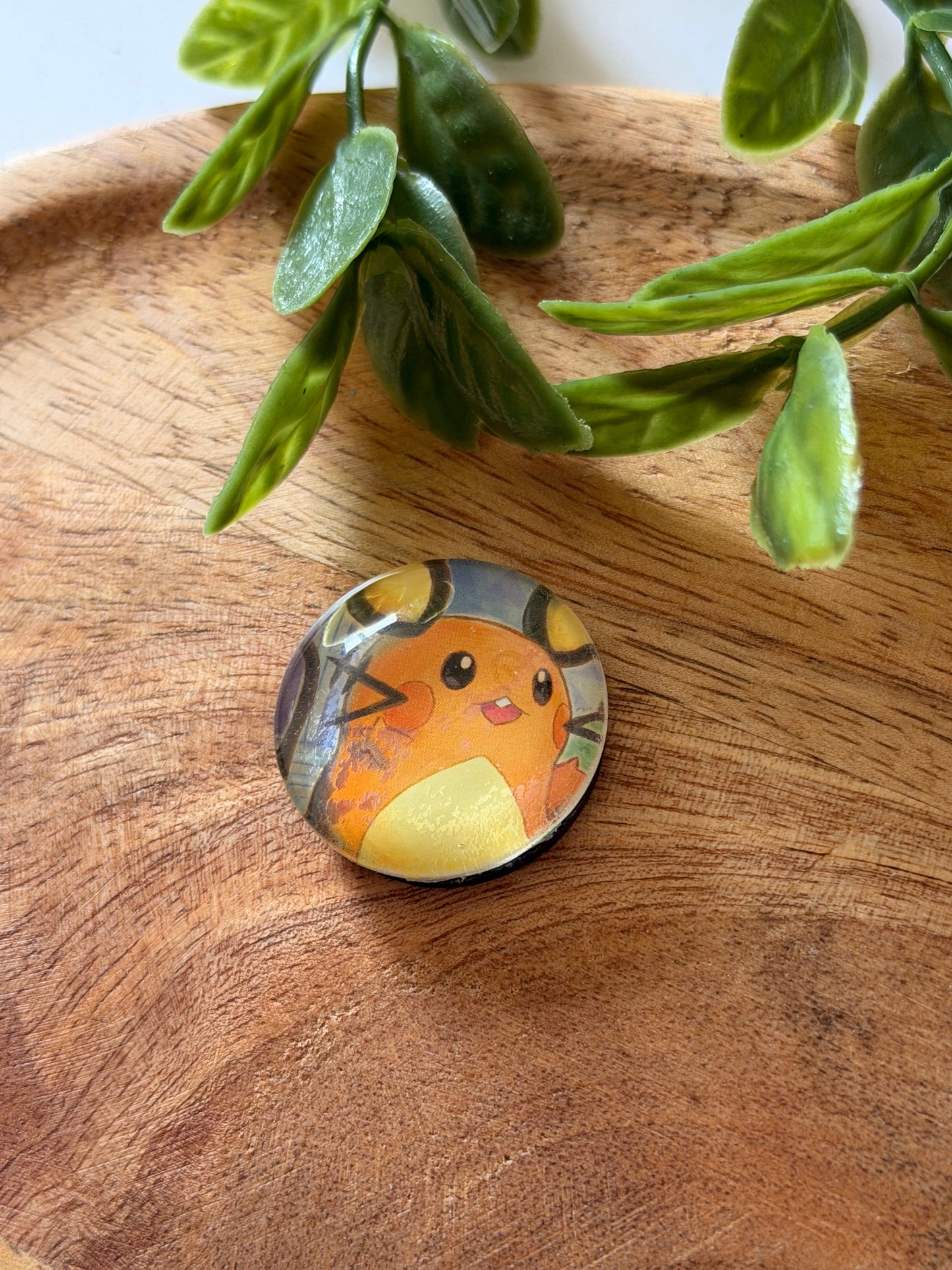 Magnets pour frigo - Pokémon