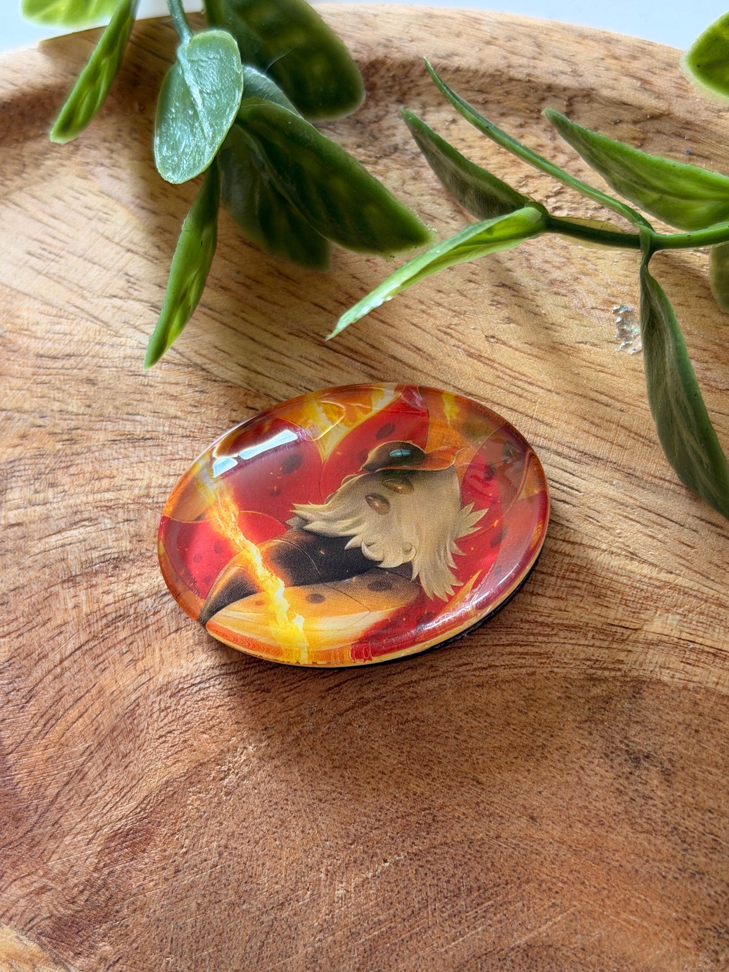Magnets pour frigo - Pokémon