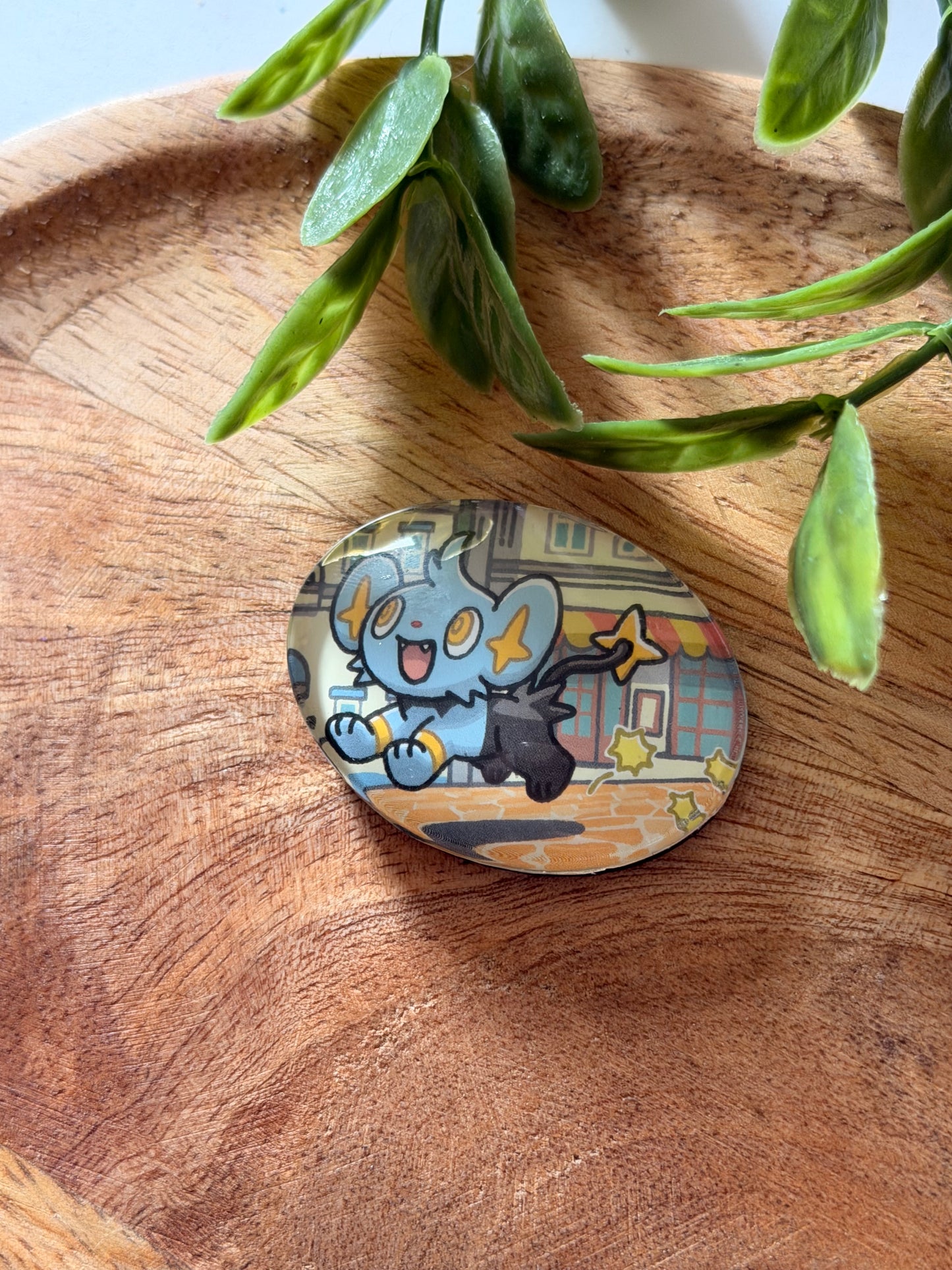 Magnets pour frigo - Pokémon