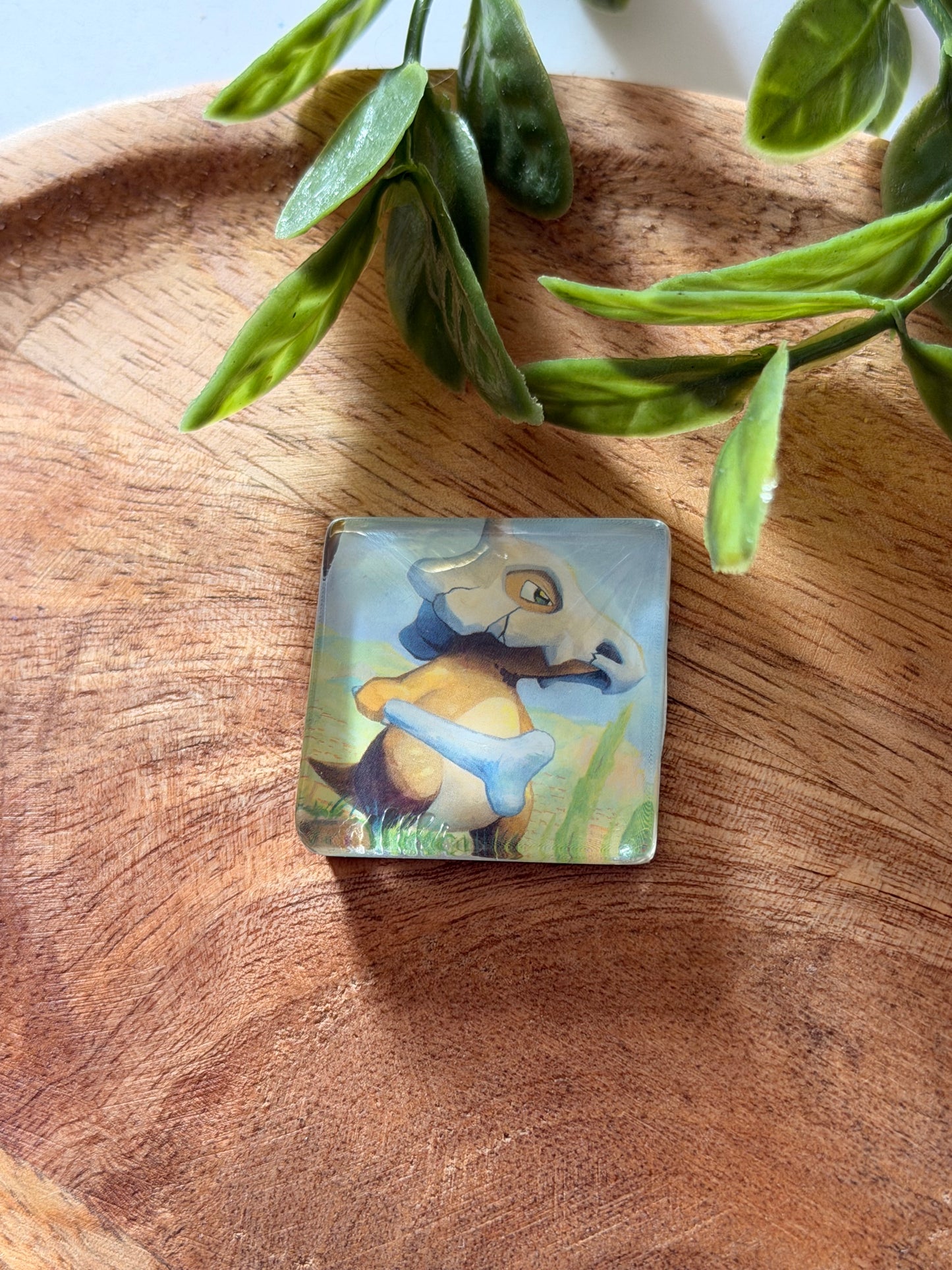 Magnets pour frigo - Pokémon