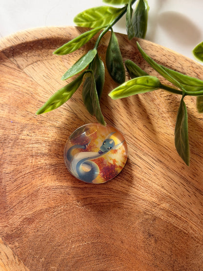 Magnets pour frigo - Pokémon
