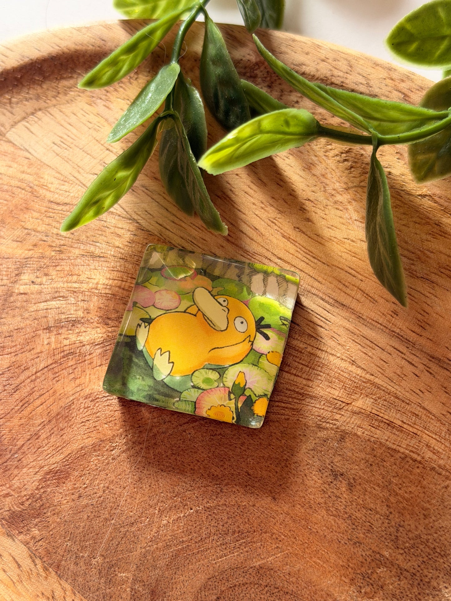 Magnets pour frigo - Pokémon