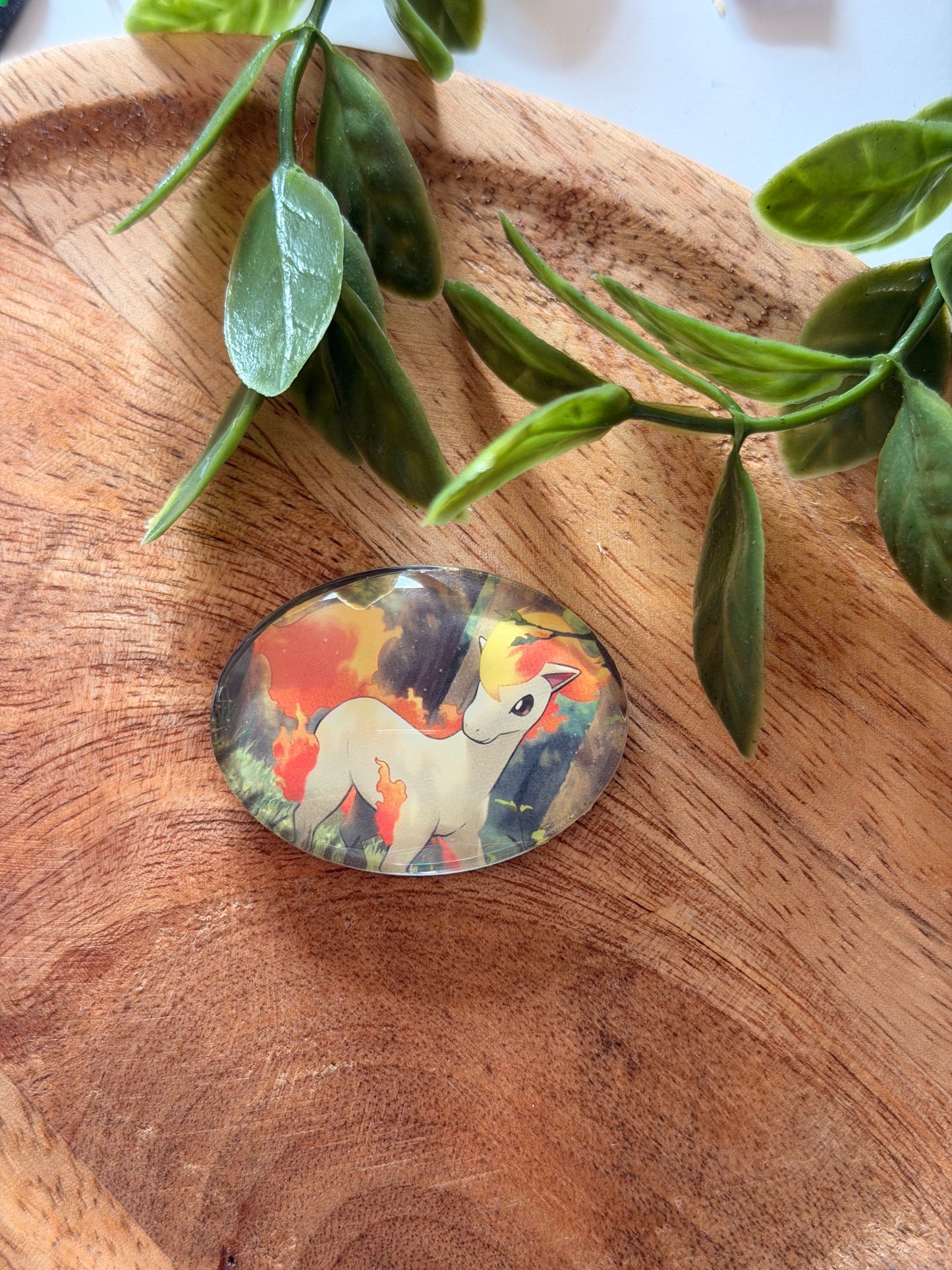 Magnets pour frigo - Pokémon