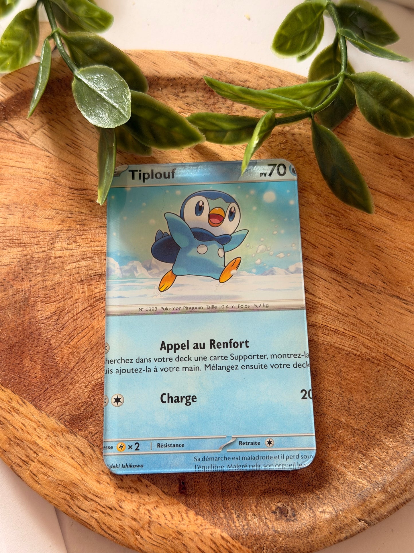 Magnets pour frigo - Pokémon