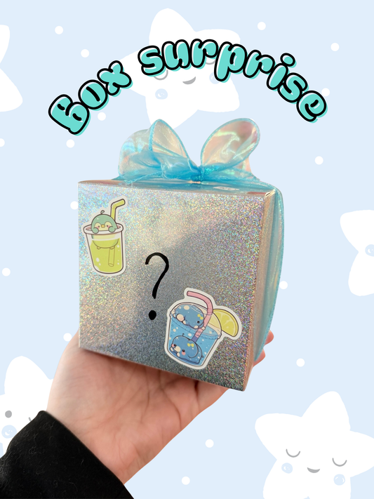 Box peluche surprise