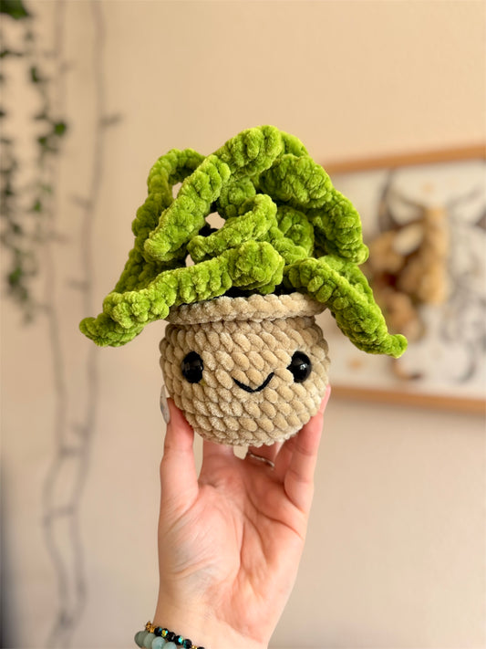 Plante en pot Monstera en Crochet - Décoration plante en crochet, fait-main

🧶 C’est le cadeau parfait pour toutes les personnes qui aiment les Monstera et qui aimeraient en avoir une miniature sur leur bureau ou sur leurs étagères. Ces Monstera au crochet ne nécessitent aucun entretien, pas besoin de les arroser
